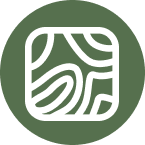 Site de Notícias